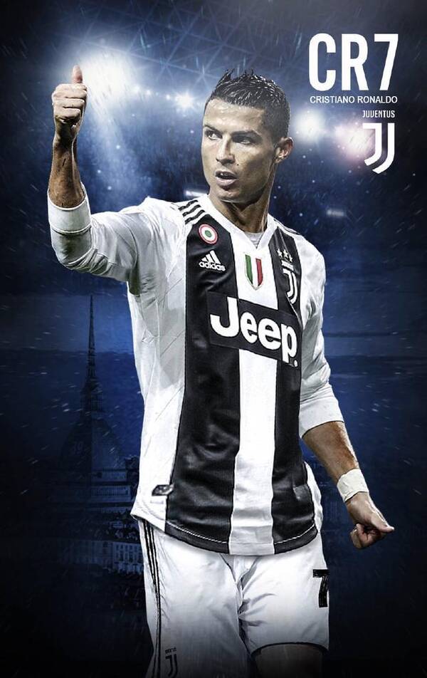 的教科书式 的教科书式