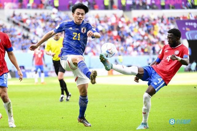 同样不可或 同样不可或